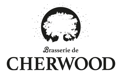 Logo du site